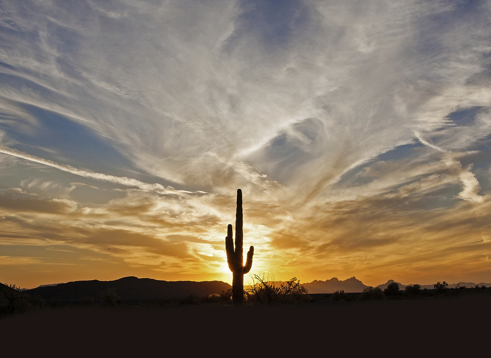 iStock_22858507_MEDIUM.jpg